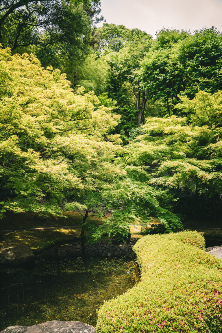 Exuberante vegetación, árboles nativos y entorno boscoso que rodea los terrenos de la destilería de Yamazaki en Shimamoto.
