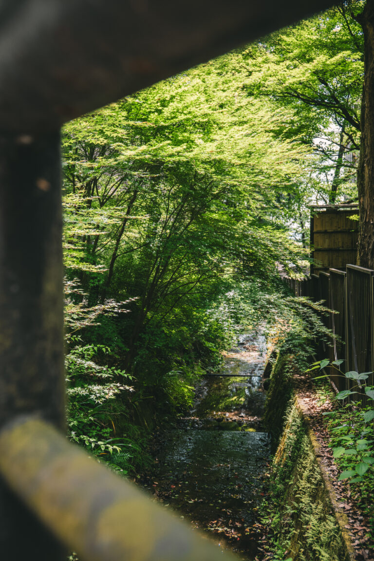 Exuberante vegetación, árboles nativos y entorno boscoso que rodea los terrenos de la destilería de Yamazaki en Shimamoto.