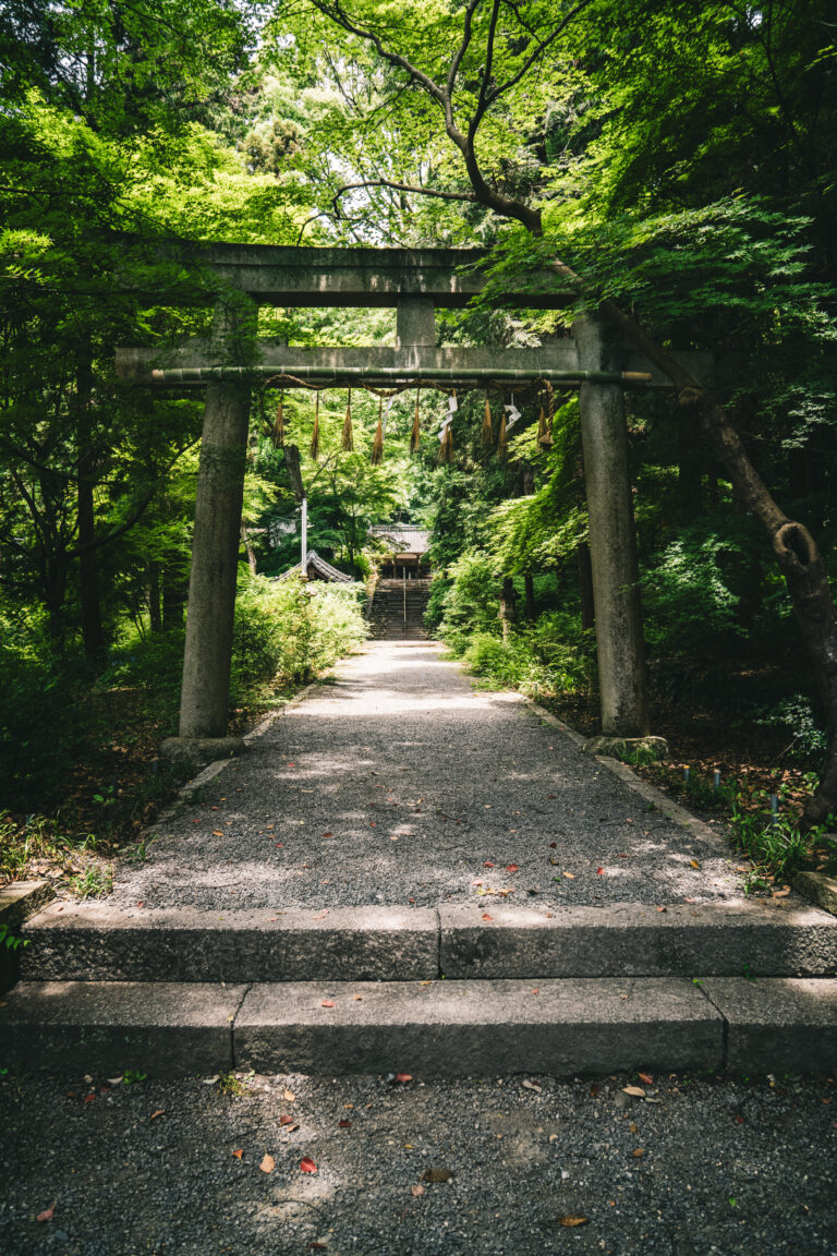Exuberante vegetación, árboles nativos y entorno boscoso que rodea los terrenos de la destilería de Yamazaki en Shimamoto.